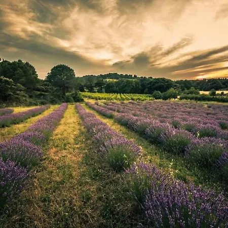 Confort ! Climatisation, Calme, Piscine, Parking Gratuit, Terrasse, Wifi דירה *