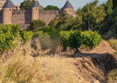 Confort ! Climatisation, Calme, Piscine, Parking Gratuit, Terrasse, Wifi Apartment Carcassonne