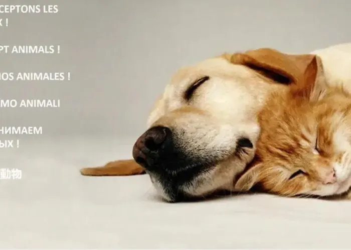 Confort ! Climatisation, Calme, Piscine, Parking Gratuit, Terrasse, Wifi Apartmán Carcassonne