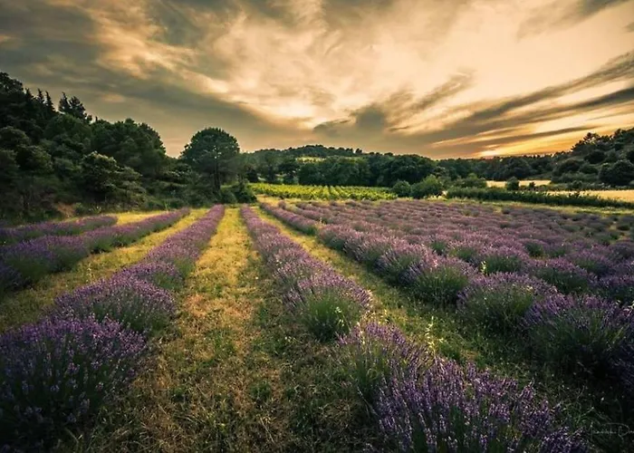 Confort ! Climatisation, Calme, Piscine, Parking Gratuit, Terrasse, Wifi Apartamento *