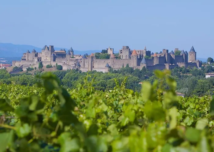Confort ! Climatisation, Calme, Piscine, Parking Gratuit, Terrasse, Wifi * Carcassonne