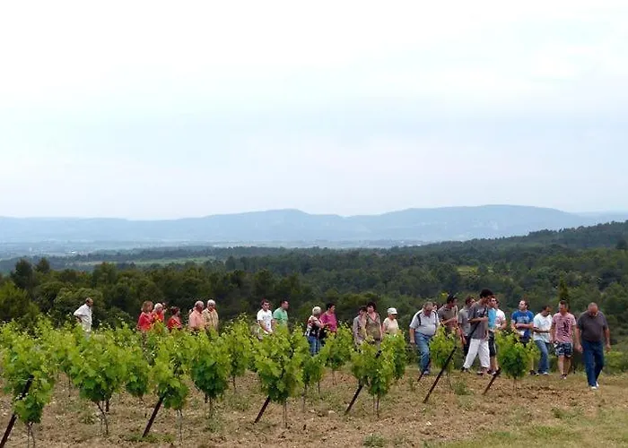 Confort ! Climatisation, Calme, Piscine, Parking Gratuit, Terrasse, Wifi Apartment Carcassonne